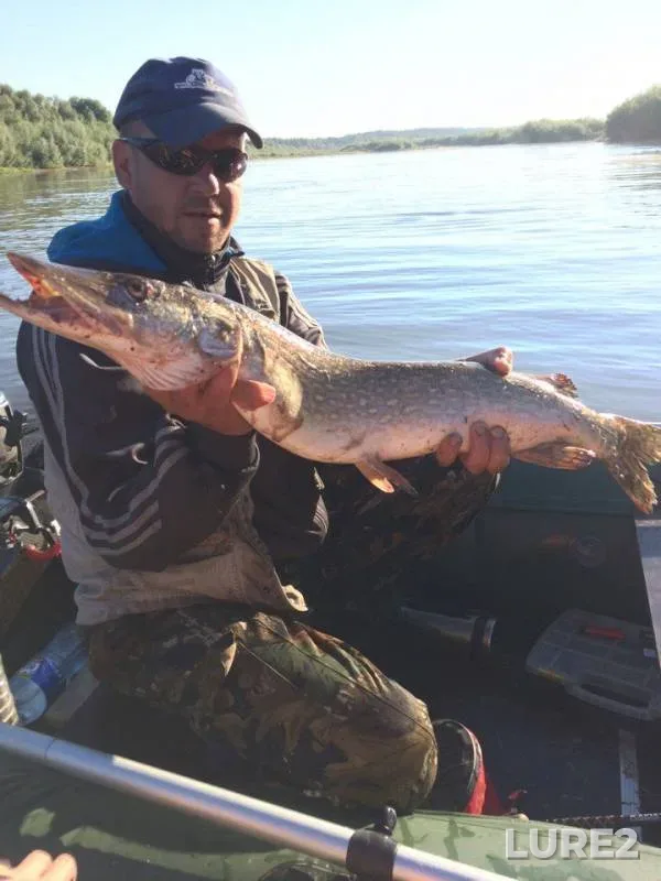 Pike — Oka, Aug 14, 2017