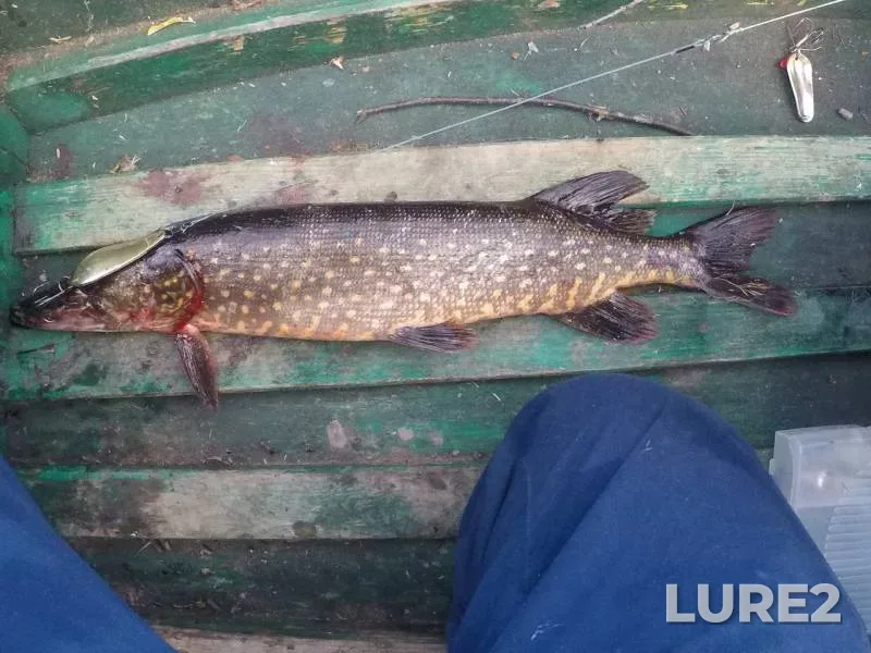 Pike — Chyornoye, Sep 06, 2017