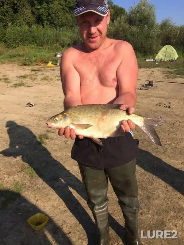 Bream — Oka, Sep 18, 2017