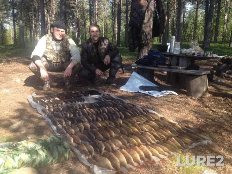 Perch — Murmanskaya oblast, Kovdorskiy munitsipalnyy okrug, Oct 05, 2017
