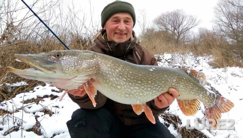 Pike — Moskva, Dec 07, 2017
