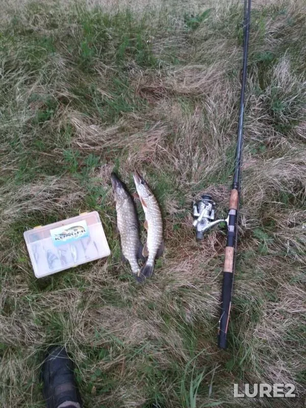 Pike — Stetski, May 07, 2019