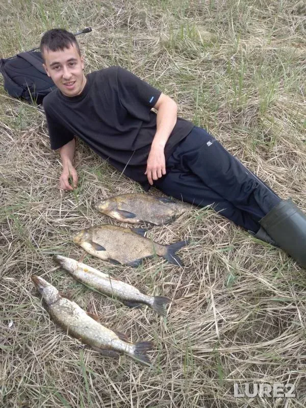 Bream, Pike — Berezina, May 16, 2019
