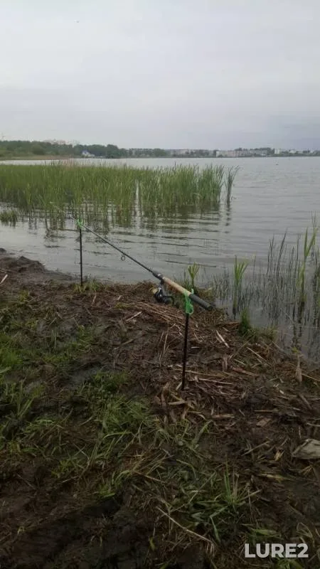 Crucian carp — Smolevichskoye, May 19, 2019