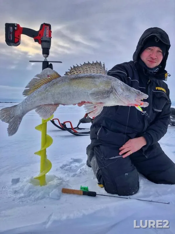 Zander — Nizhnekamskoye, Jan 13, 2018
