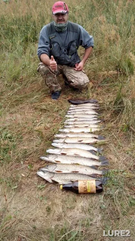 Pike — Bobr, Jul 05, 2019