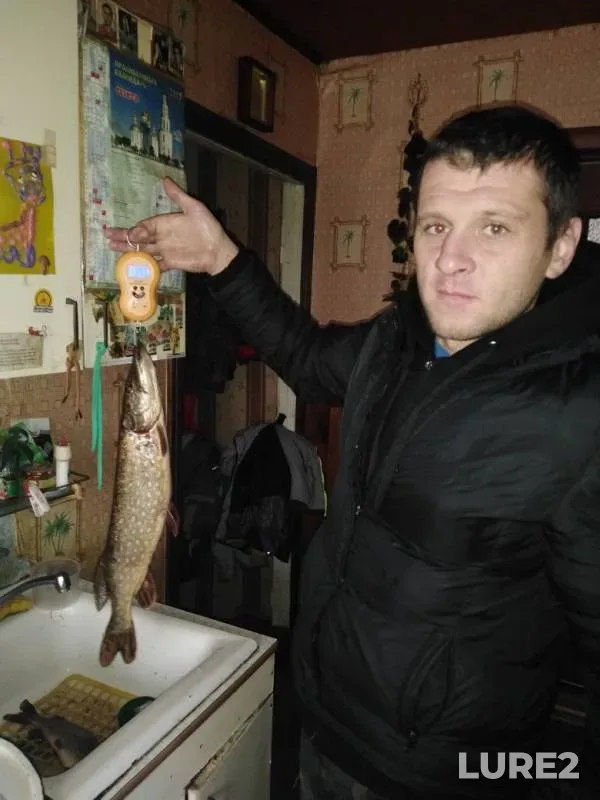 Pike — Mukhavets, Nov 18, 2019