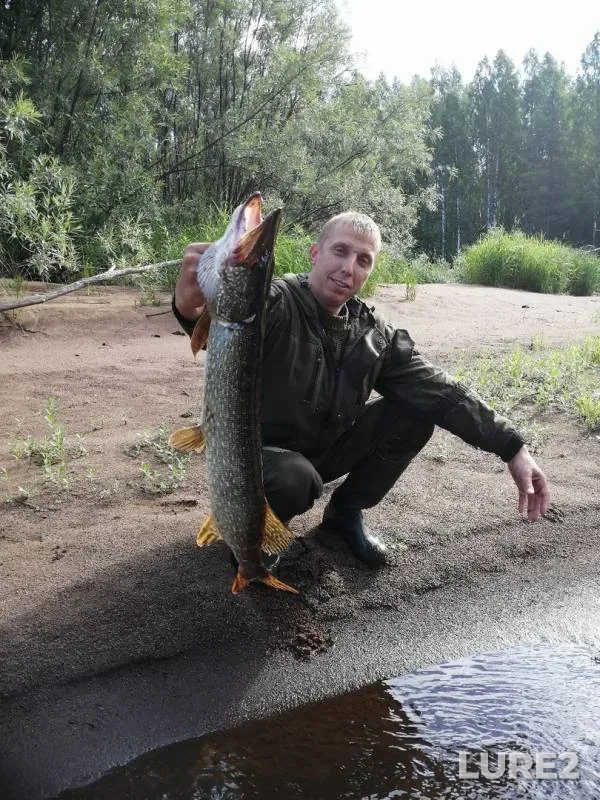 Pike — Pes, Jul 06, 2019