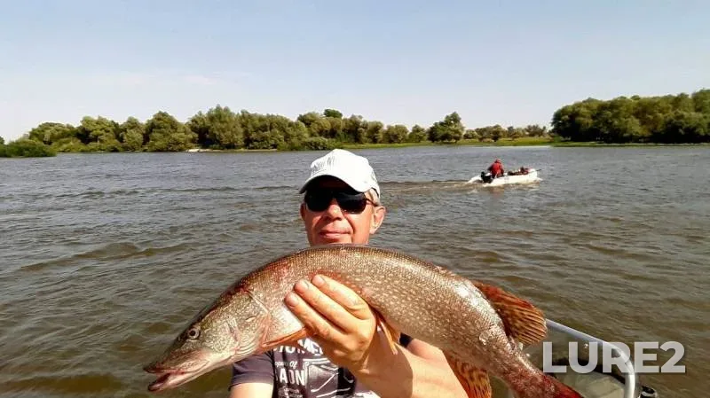 Pike — Akhtuba, Aug 02, 2019