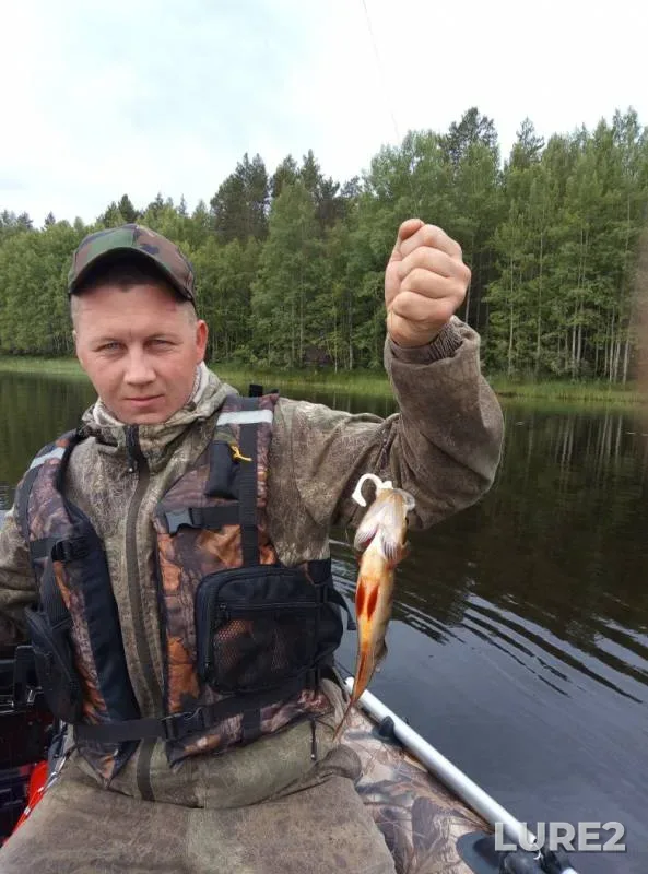 Perch — Pochozero, Jul 30, 2019