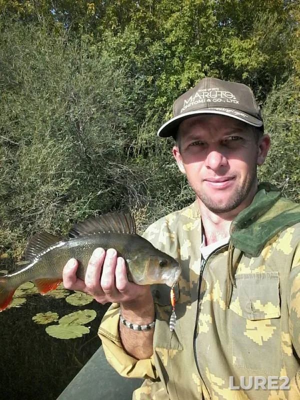 Perch — Shagan, Aug 10, 2019
