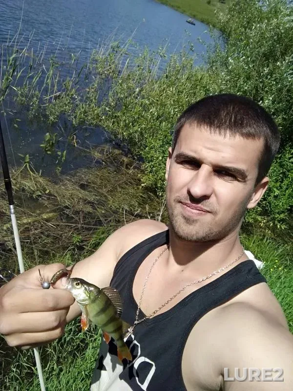 Perch — Belgorodskaya oblast, Jun 26, 2018