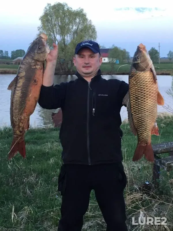 Carp — Voroship, May 22, 2018