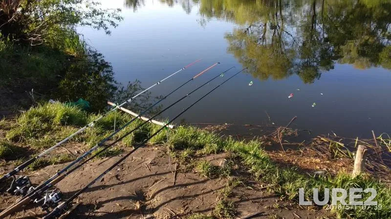 Bream, Crucian carp — Ros, May 15, 2018