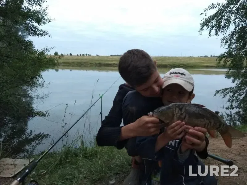 Carp — Respublika Chuvashiya, Aug 09, 2018