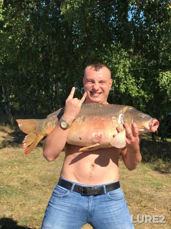 Carp — Sumska oblast, Sep 20, 2018
