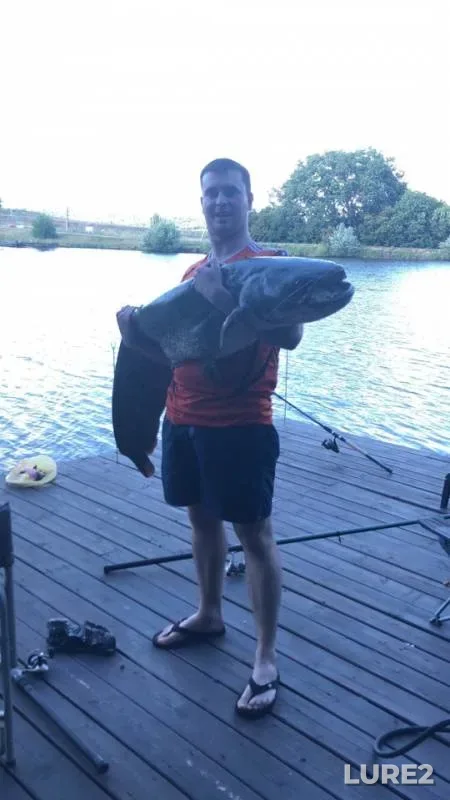 Carp, Wels catfish — Monakhov, Sep 07, 2018