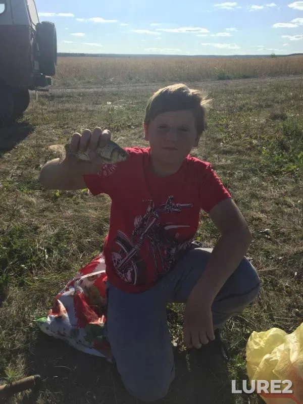 Crucian carp — Poksh-Syalme, Aug 23, 2018