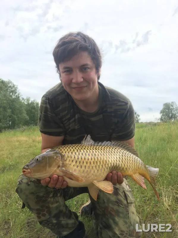 Carp — Linyovoye, Jun 29, 2019