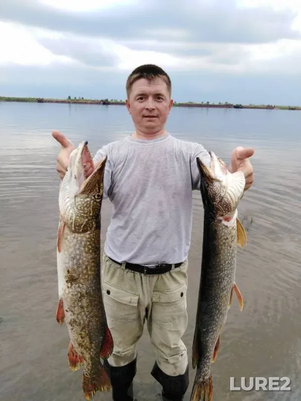 Pike — Sauskanovskoye, Aug 18, 2018