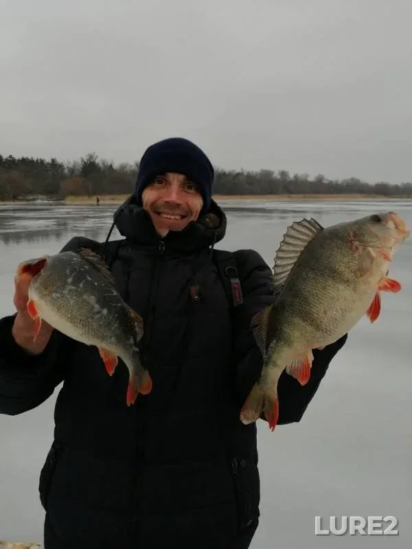 Perch — Dnepr, Jan 28, 2019
