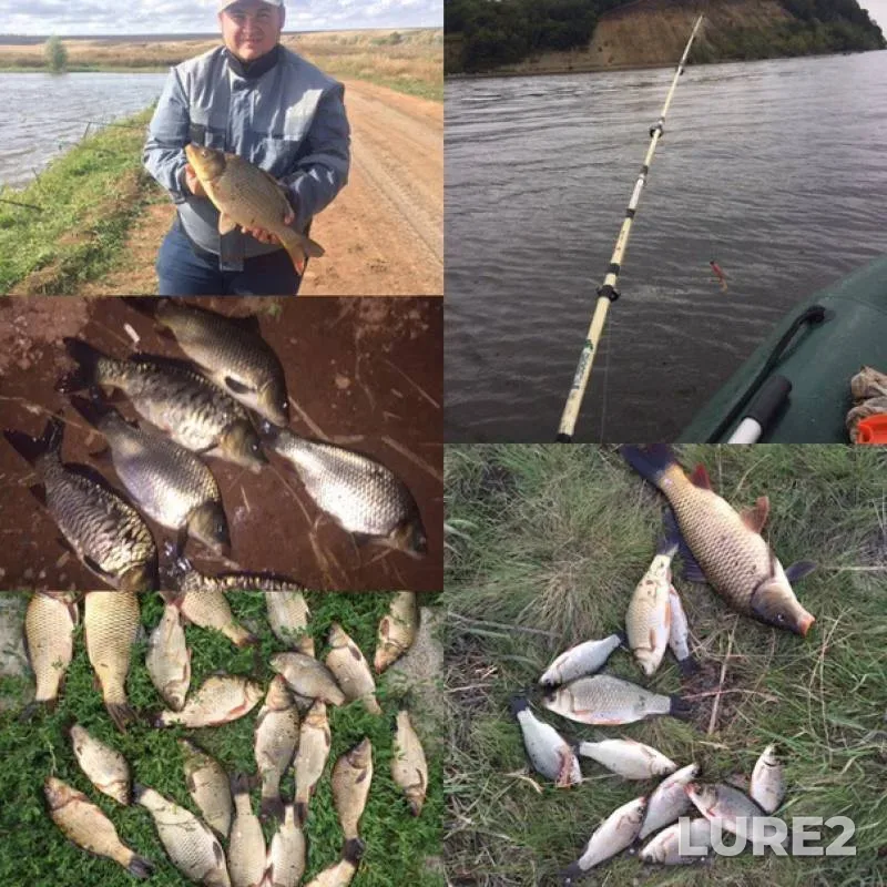 Carp, Crucian carp — Kama, Jan 17, 2019