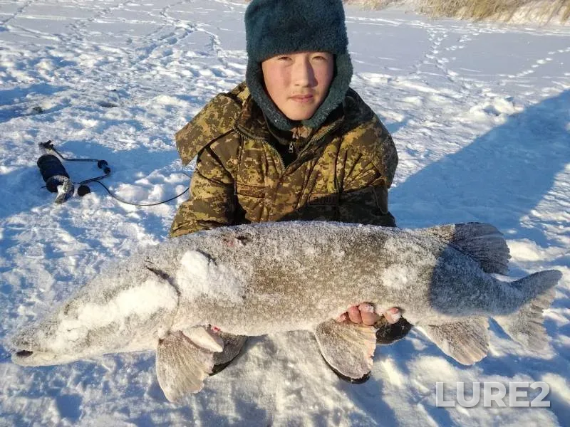 Pike — Koluton, Jan 12, 2019