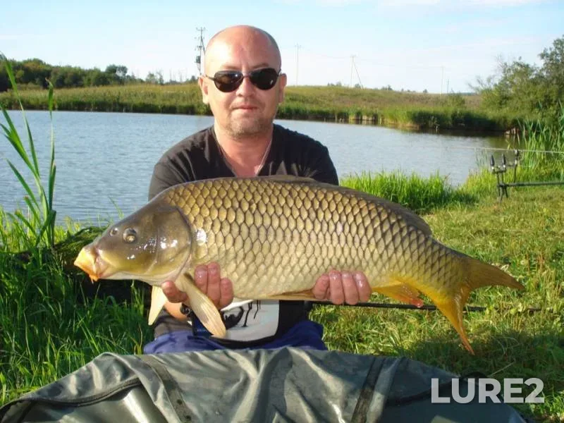 Carp — novyy, Aug 12, 2019