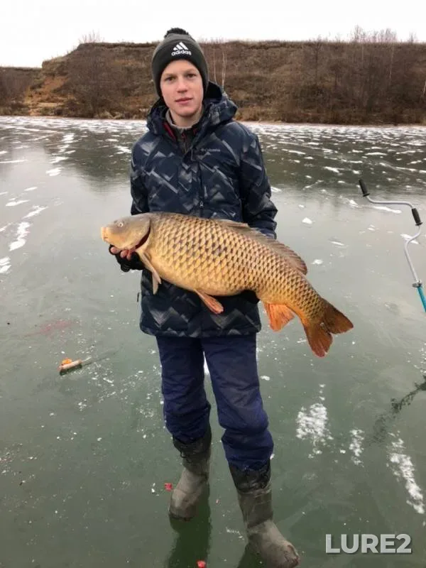 Carp — Drakinskiy karyer, Nov 26, 2018
