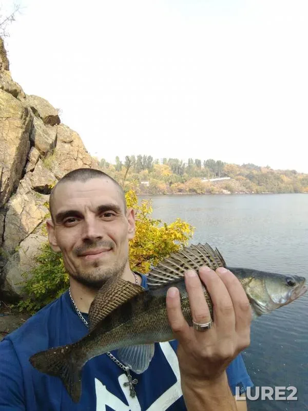 Zander — Dnepr, Oct 20, 2018