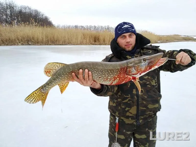 Pike — Donetska oblast, Mar 27, 2019