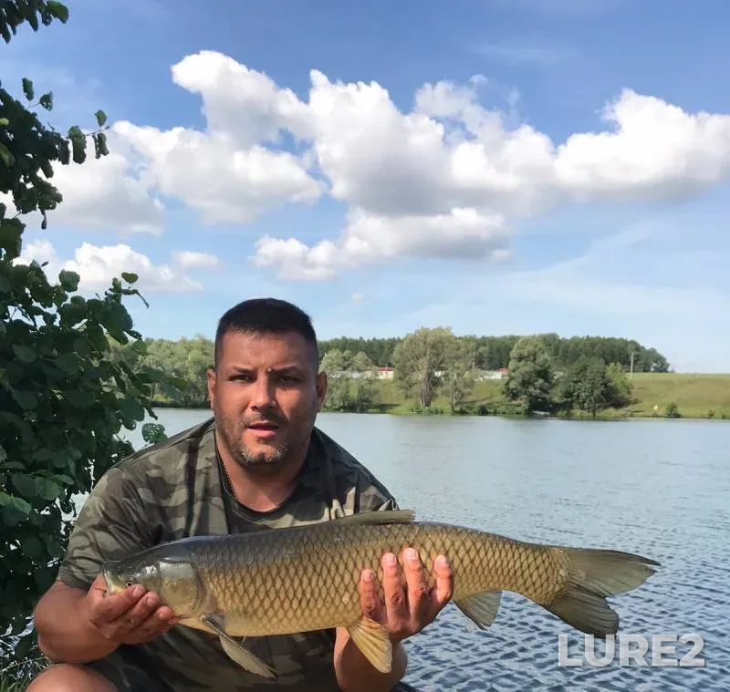 Carp — Linyovoye, Aug 30, 2019
