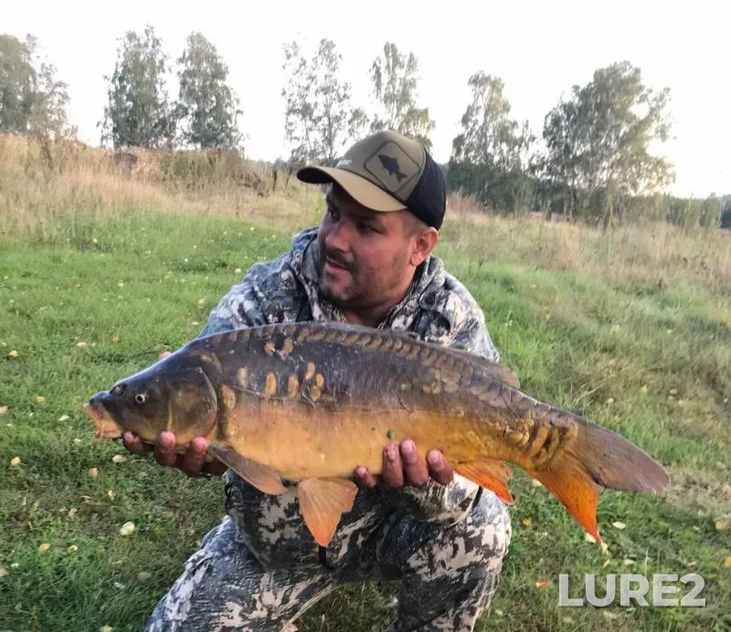 Carp — Linyovoye, Sep 08, 2019