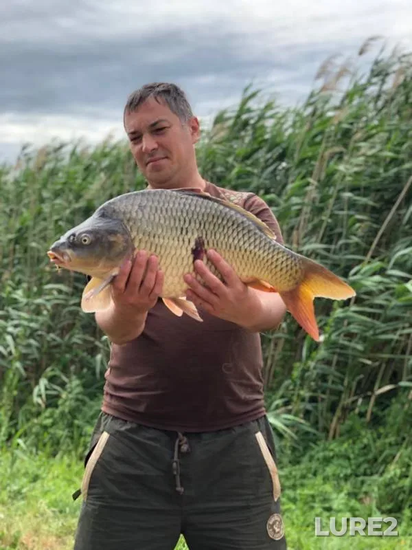 Carp — 3ya-Kochety, Jul 07, 2019