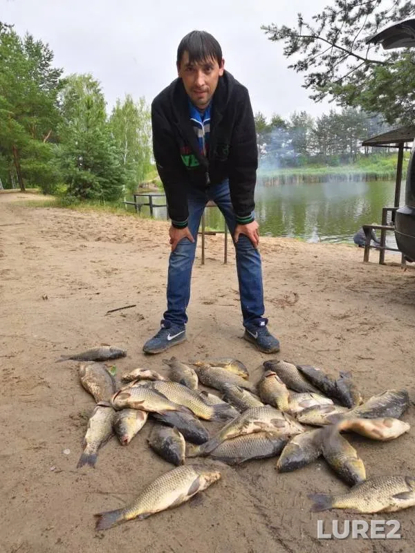 Carp — Moskovskaya oblast, gorodskoy okrug Klin, Jul 30, 2019