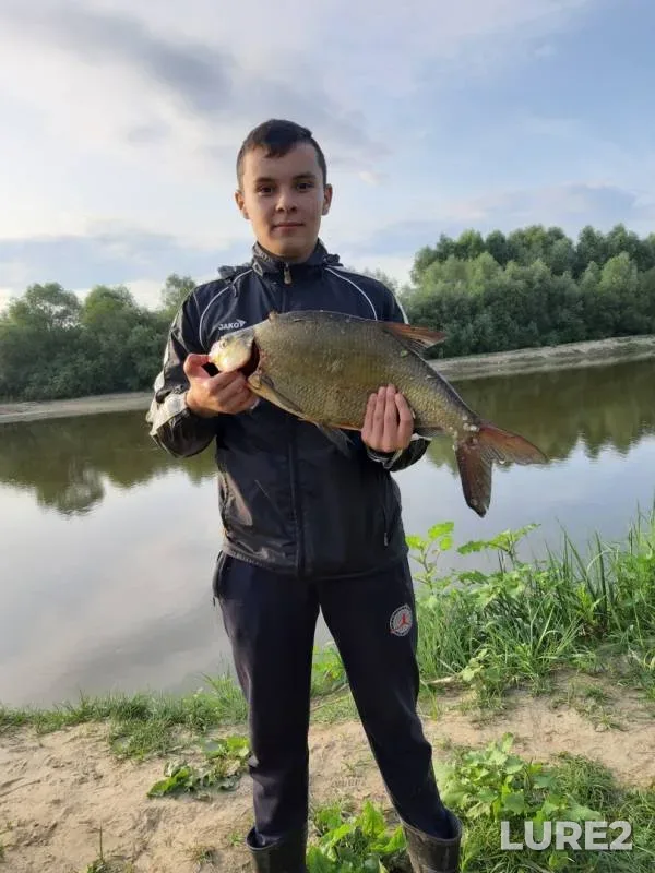 Bream — Brestskaya oblast, Stolinskiy rayon, Aug 02, 2019