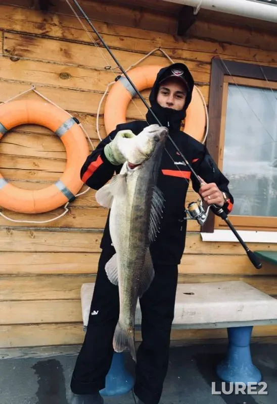 Perch, Pike — Kama, Oct 13, 2018