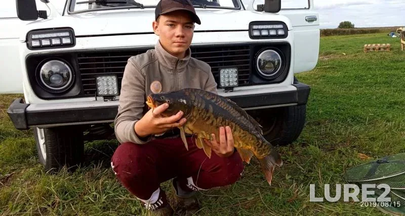 Carp — Mezhura, Aug 16, 2019