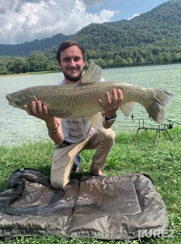 Carp — Mzymta, Sep 04, 2019