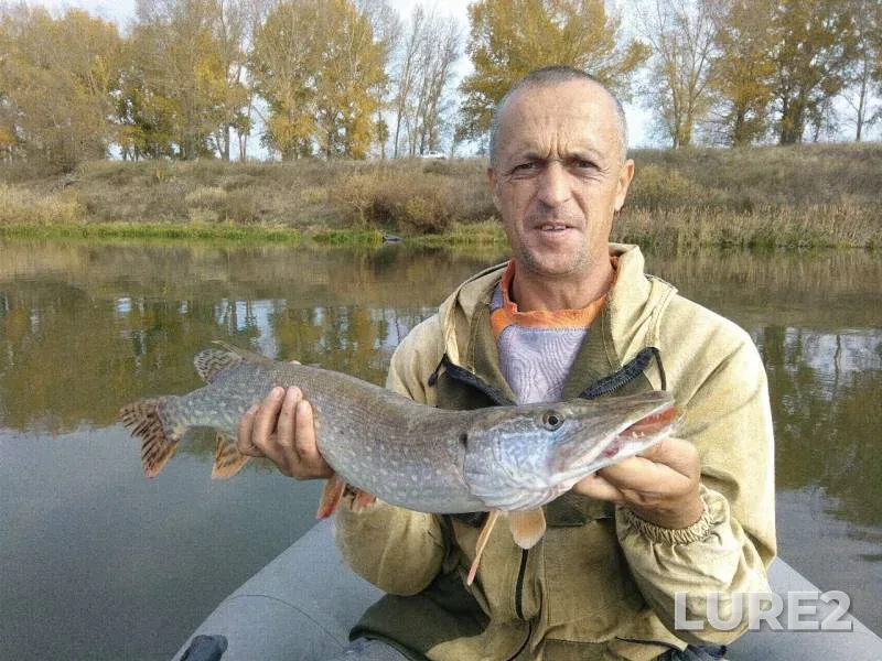 Pike — Don, Oct 15, 2019