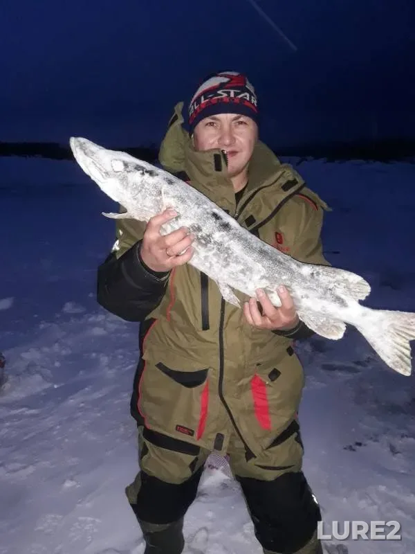 Pike — Izh, Jan 01, 2019