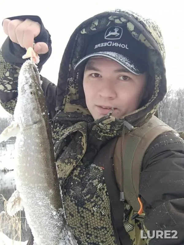 Pike — Izh, Dec 29, 2018