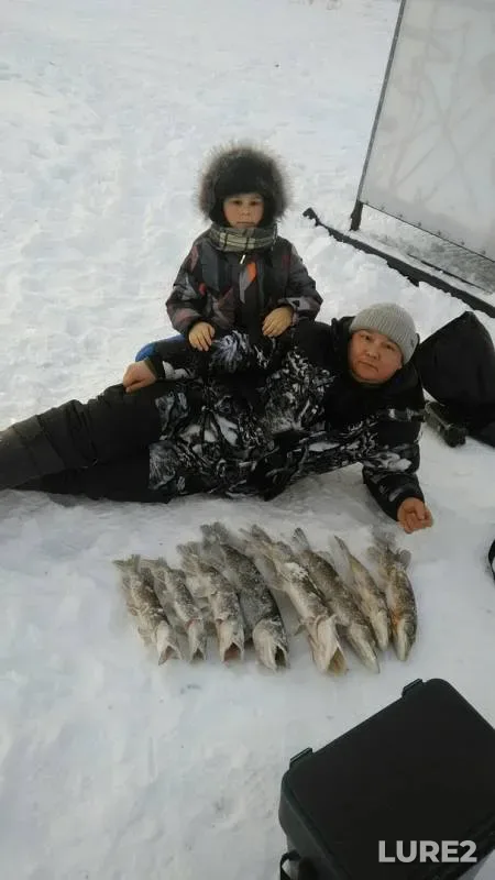 Pike — Nizhnekamskoye, Jan 31, 2019