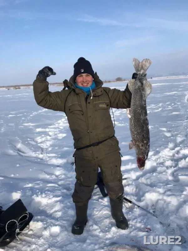 Pike — Nizhnekamskoye, Feb 11, 2019