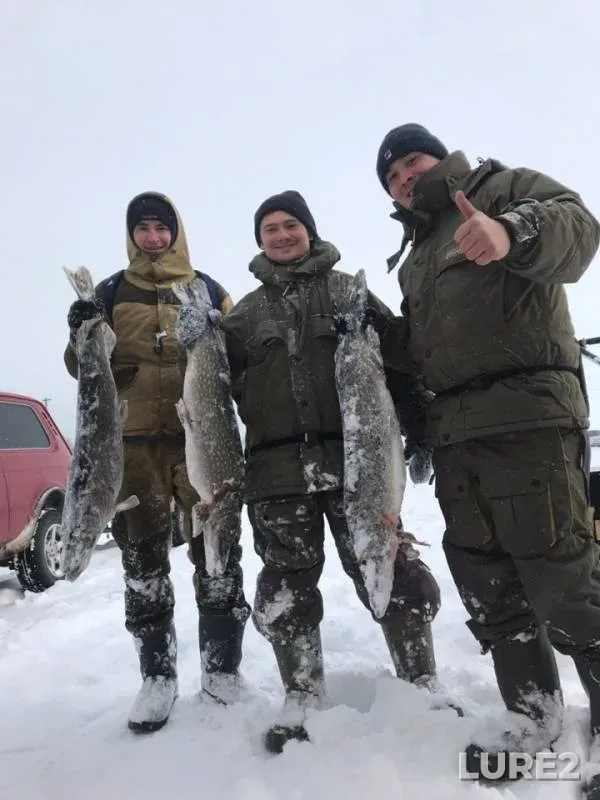 Pike — Nizhnekamskoye, Feb 28, 2019