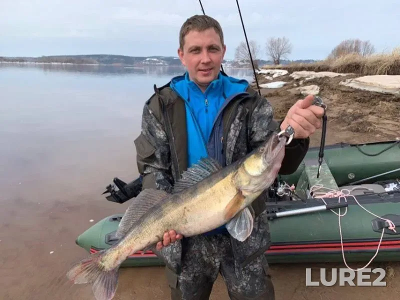 Zander — Kama, Apr 07, 2019