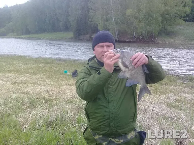 Bream — Votkinskoye, May 24, 2019