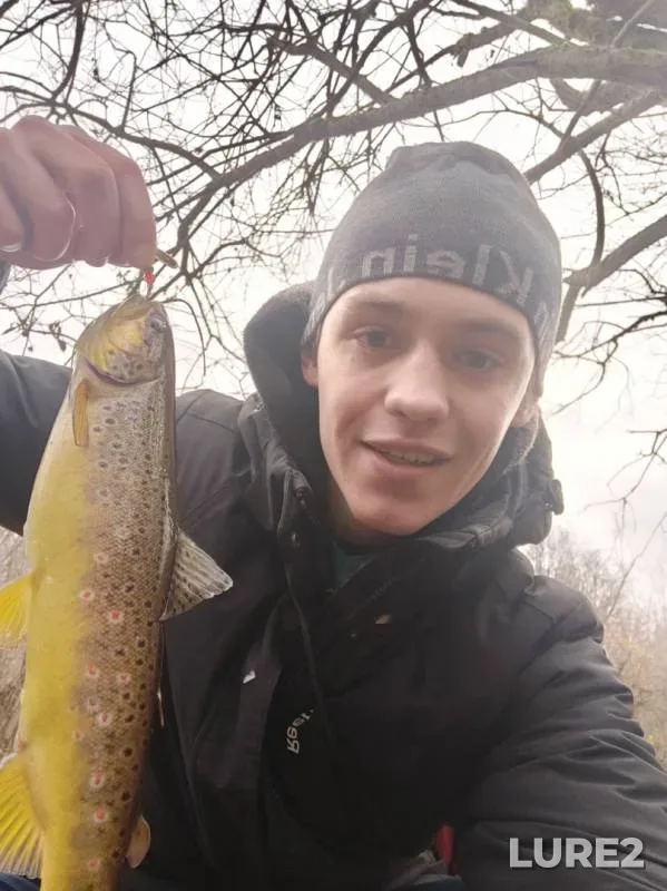 Rainbow trout — Ryadan, Oct 15, 2019
