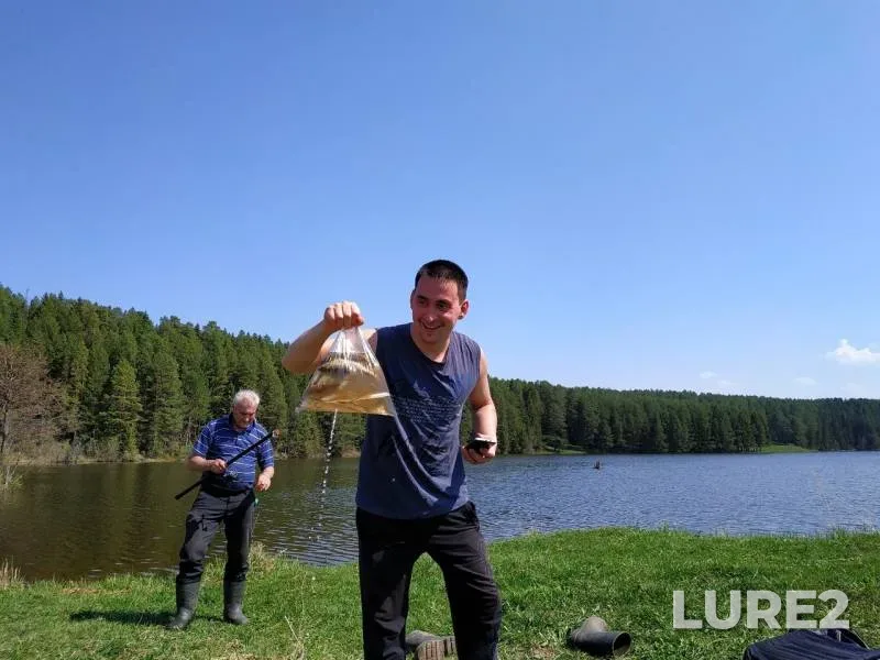 Roach — Nechkinka, May 20, 2019
