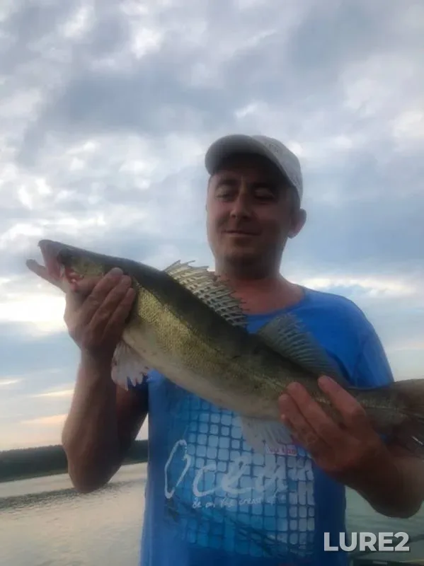 Zander — Varzinka, Jun 23, 2019